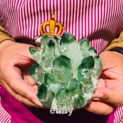 4 pieces 3.3LB Rare Twinkling Green Phantom Quartz Crystal Cluster Specimen 1828