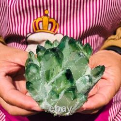 4 pieces 3.3LB Rare Twinkling Green Phantom Quartz Crystal Cluster Specimen 1828