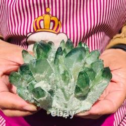 4 pieces 3.3LB Rare Twinkling Green Phantom Quartz Crystal Cluster Specimen 1828
