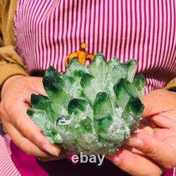 4 pieces 3.3LB Rare Twinkling Green Phantom Quartz Crystal Cluster Specimen 1828