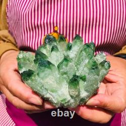 4 pieces 3.3LB Rare Twinkling Green Phantom Quartz Crystal Cluster Specimen 1828