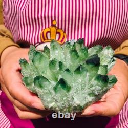 4 pieces 3.3LB Rare Twinkling Green Phantom Quartz Crystal Cluster Specimen 1828