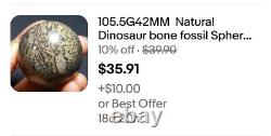 4 pieces Natural Dinosaur bone fossil Sphere Ball Madagascar