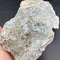 4lbs Pyrite Blue Kyanite Crystal Combo piece Graves Mt Georgia