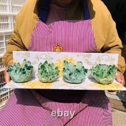 4pieces 3.66LB New Discovery Green Ghost Crystal Cluster Mineral Healing 1830