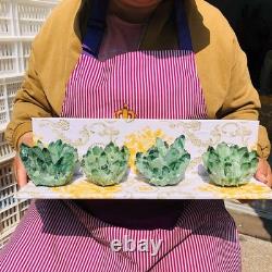 4pieces 3.66LB New Discovery Green Ghost Crystal Cluster Mineral Healing 1830