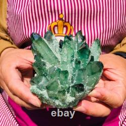 4pieces 3.66LB New Discovery Green Ghost Crystal Cluster Mineral Healing 1830
