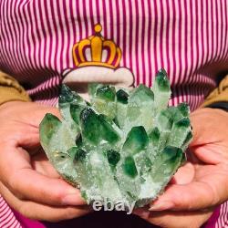 4pieces 3.66LB New Discovery Green Ghost Crystal Cluster Mineral Healing 1830