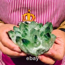 4pieces 3.66LB New Discovery Green Ghost Crystal Cluster Mineral Healing 1830