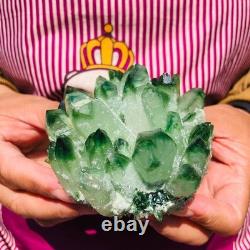 4pieces 3.66LB New Find green PhantomQuartz Crystal Cluster MineralSpecimen 1830