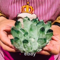 4pieces 3.66LB New Find green PhantomQuartz Crystal Cluster MineralSpecimen 1830