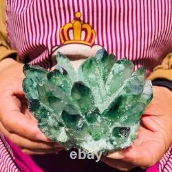 4pieces 3.66LB New Find green PhantomQuartz Crystal Cluster MineralSpecimen 1830