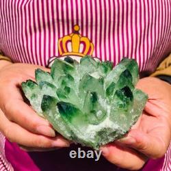 4pieces 3.66LB New Find green PhantomQuartz Crystal Cluster MineralSpecimen 1830