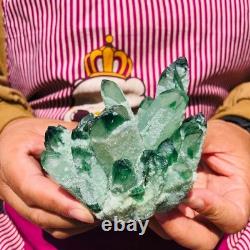4pieces 3.66LB New Find green PhantomQuartz Crystal Cluster MineralSpecimen 1830