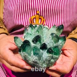 4pieces 3.66LB New Find green PhantomQuartz Crystal Cluster MineralSpecimen 1830
