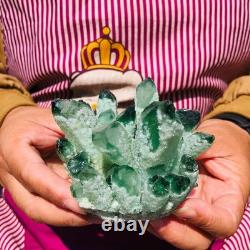4pieces 3.66LB New Find green PhantomQuartz Crystal Cluster MineralSpecimen 1830 4pieces 3.66LB New Find green PhantomQuartz Crystal Cluster MineralSpecimen 1830
