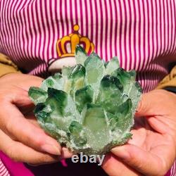 4pieces 3.66LB New Find green PhantomQuartz Crystal Cluster MineralSpecimen 1830