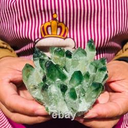 4pieces 3.66LB New Find green PhantomQuartz Crystal Cluster MineralSpecimen 1830