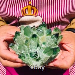4pieces 3.66LB New Find green PhantomQuartz Crystal Cluster MineralSpecimen 1830