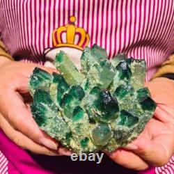 4pieces 3.71LB New Find green PhantomQuartz Crystal Cluster MineralSpecimen 1832