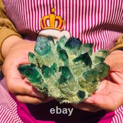 4pieces 3.71LB New Find green PhantomQuartz Crystal Cluster MineralSpecimen 1832