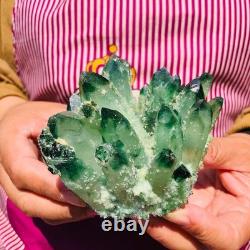 4pieces 3.71LB New Find green PhantomQuartz Crystal Cluster MineralSpecimen 1832
