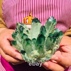 4pieces 3.71LB New Find green PhantomQuartz Crystal Cluster MineralSpecimen 1832