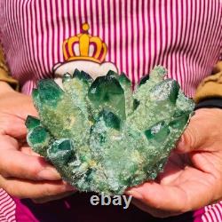 4pieces 3.71LB New Find green PhantomQuartz Crystal Cluster MineralSpecimen 1832