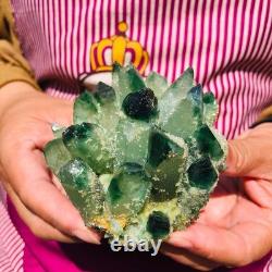 4pieces 3.71LB New Find green PhantomQuartz Crystal Cluster MineralSpecimen 1832