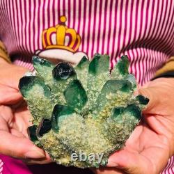4pieces 3.71LB New Find green PhantomQuartz Crystal Cluster MineralSpecimen 1832