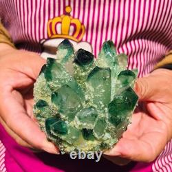 4pieces 3.71LB New Find green PhantomQuartz Crystal Cluster MineralSpecimen 1832