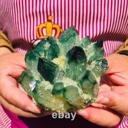 4pieces 3.71LB New Find green PhantomQuartz Crystal Cluster MineralSpecimen 1832