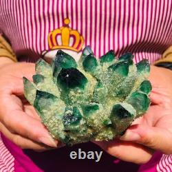4pieces 3.71LB New Find green PhantomQuartz Crystal Cluster MineralSpecimen 1832
