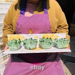 4pieces 3.88LB New Find green PhantomQuartz Crystal Cluster MineralSpecimen 1826