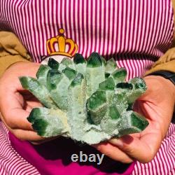 4pieces 3.88LB New Find green PhantomQuartz Crystal Cluster MineralSpecimen 1826