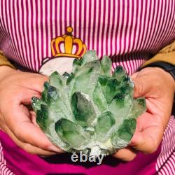 4pieces 3.88LB New Find green PhantomQuartz Crystal Cluster MineralSpecimen 1826 4pieces 3.88LB New Find green PhantomQuartz Crystal Cluster MineralSpecimen 1826