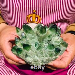 4pieces 3.88LB New Find green PhantomQuartz Crystal Cluster MineralSpecimen 1826