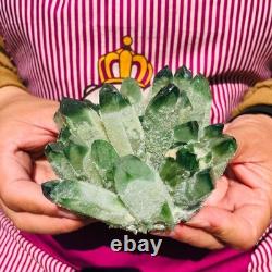 4pieces 3.88LB New Find green PhantomQuartz Crystal Cluster MineralSpecimen 1826