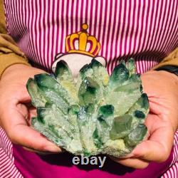4pieces 3.88LB New Find green PhantomQuartz Crystal Cluster MineralSpecimen 1826