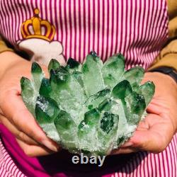 4pieces 4LB New Find green PhantomQuartz Crystal Cluster MineralSpecimen 1831