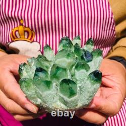 4pieces 4LB New Find green PhantomQuartz Crystal Cluster MineralSpecimen 1831
