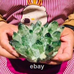 4pieces 4LB New Find green PhantomQuartz Crystal Cluster MineralSpecimen 1831