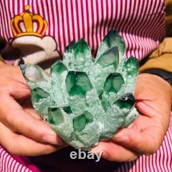 4pieces 4LB New Find green PhantomQuartz Crystal Cluster MineralSpecimen 1831