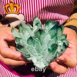 4pieces 4LB New Find green PhantomQuartz Crystal Cluster MineralSpecimen 1831