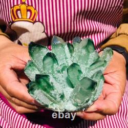 4pieces 4LB New Find green PhantomQuartz Crystal Cluster MineralSpecimen 1831