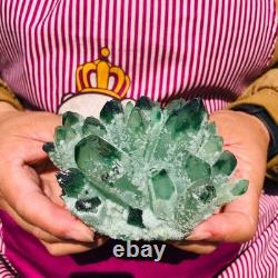 4pieces 4.05LB New Find green PhantomQuartz Crystal Cluster MineralSpecimen 1825