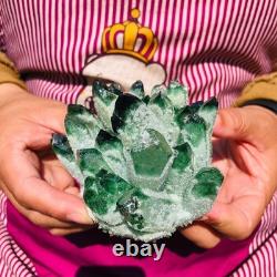 4pieces 4.05LB New Find green PhantomQuartz Crystal Cluster MineralSpecimen 1825