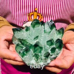 4pieces 4.05LB New Find green PhantomQuartz Crystal Cluster MineralSpecimen 1825