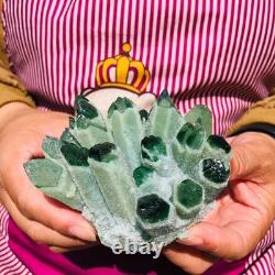 4pieces 4.05LB New Find green PhantomQuartz Crystal Cluster MineralSpecimen 1825
