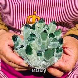 4pieces 4.05LB New Find green PhantomQuartz Crystal Cluster MineralSpecimen 1825